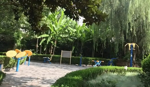 姻缘劫之离曲